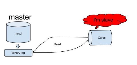 mysql日志binlog消费初体验